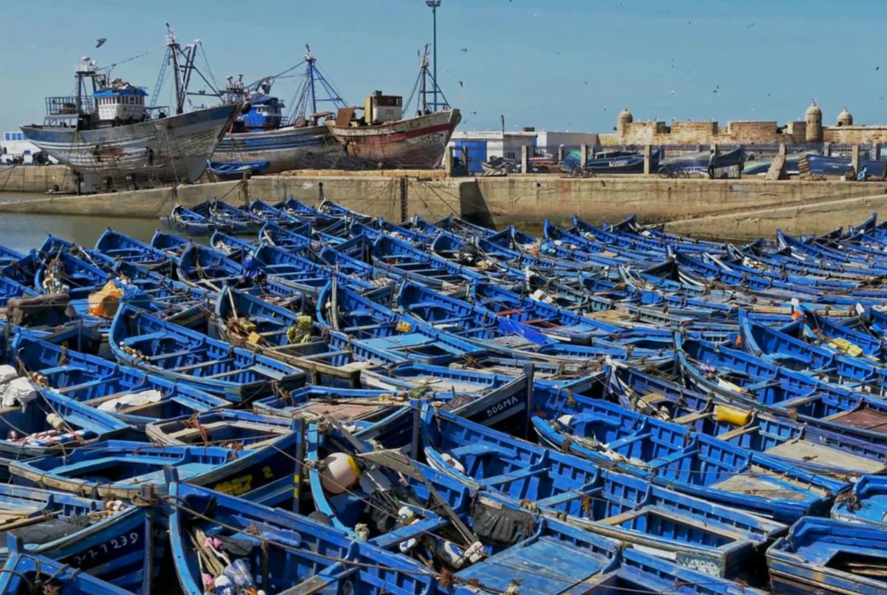 Barques de pêche à Essaouira